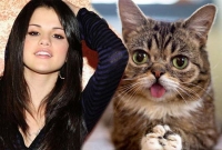 যেখানে সুন্দরী ও বিড়ালের জয়জয়কার