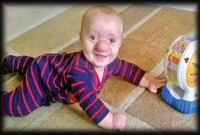 মাথায় নয়, নাকের ডগায় ব্রেন!