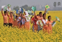 লেখাপড়া নিয়ে কিছু কথা