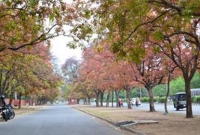 জানেন কি, বিশ্বের অন্যতম 'নিখুঁত শহর' কোথায়?