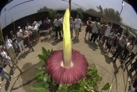 লাশ ফুলে রক্ত ঝরছে!