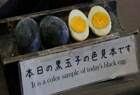 যে ডিম খেলে আয়ু বাড়ে!