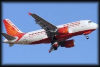 মাঝ আকাশে ইঁদুরের দাপাদাপি, ফিরে এল বিমান