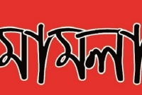 সোনারগাঁ পৌর নির্বাচনে ককটেল বিস্ফোরণ ও হামলার ঘটনায়  মামলা 