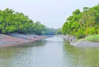 ভূমিকম্পে আতঙ্কে বাঘ-হরিণ