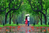 আহাম্মক ও নির্বোধ চেনার ১৪টি উপায়