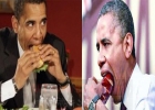 বারাক ওবামার প্রিয় খাবার