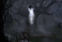 এবার ভূত-পরী তাড়াতে ব্যস্ত পুলিশ!