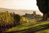 ভেনিসের গল্প