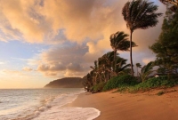 পৃথিবী কি অক্সিজেন শূন্য হয়ে যাবে?