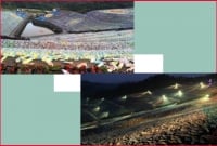 তুলির আঁচড়ে আঁকা সেই বিখ্যাত ছবি রূপ নিল বাস্তবে