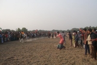 কাপাসিয়ায় ঘৌড়দৌড় প্রতিযোগিতা