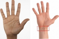 হাতের রেখা নয়, ব্রেসলেট লাইনই বলে দেবে আপনার ভবিষ্যৎ!