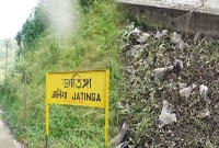 যেখানে প্রতিবছর আত্মহত্যা করতে আসে পাখির দল