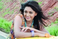 নতুন ব্যবসায় নিপুণ