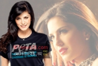 সানি লিওনকে দিল্লি সরকারের চিঠি