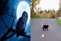 আমাদের দেশে প্রচলিত কিছু কুসংস্কার