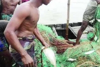 অসময়ে জেলেদের মুখে হাসি!