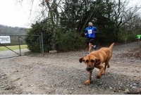 মানুষের সাথে ৩১ মাইল দৌড়ে ম্যারাথনে মেডেল জিতলো কুকুর!