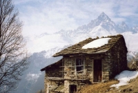 অবিশ্বাস্য হলেও সত্য, ২৮ বছর পর শিশুর মুখ দেখল এক শহর