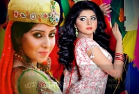 বলিউডে পড়শি