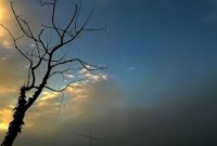 যদি এবং তবুও