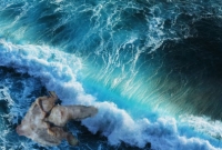 আজব মাছ, সাঁতার কাটেনা কিন্তু হেঁটে বেড়ায়