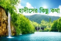 সুবাহানাল্লাহ, ১২০ কাতার জান্নাতবাসীর মধ্যে রাসূল (সা.)-এর উম্মতই হবে ৮০ কাতার