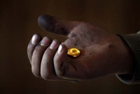 গাছের পাতার সাহায্যে স্বর্ণের সন্ধান!