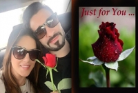 এবার গোলাপ দিয়ে সানি লিওনকে প্রেম নিবেদন