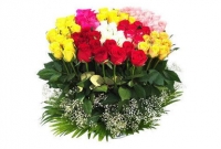 ভালোবাসা দিবসের আগে জেনে নিন, কোন গোলাপ কিসের প্রতীক