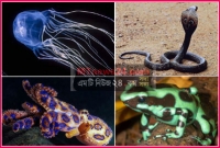 পৃথিবীর সবচেয়ে ‘ভয়ঙ্কর সুন্দর’ ৫ টি প্রাণী কি কি?