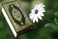 এই ৪ কারণে অবশ্যই আপনাকে পবিত্র কোরআনের শানে নুজুল জানতে হবে