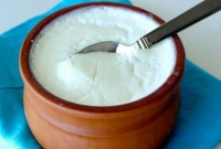 চট জলদি বাড়িতেই তৈরি করুন টকদই