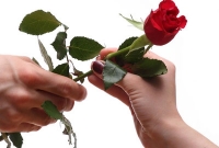 গোলাপ দেওয়াকে কেন্দ্র করে দুই পক্ষের মারামারি