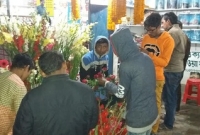 বিশ্ব ভালবাসা দিবস উপলক্ষে ঠাকুরগাঁওয়ে ফুলের দোকানগুলো ব্যস্ত সময় কাটাচ্ছে