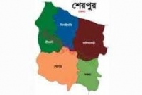 শেরপুরের চাপাতলীতে ট্রাক চাপায় শিশু নিহত