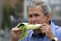 আবারও সেই জর্জ ডব্লিউ বুশ