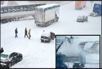 আঘাত হেনেছে শক্তিশালী ঘূর্ণিঝড়, ১৬০০ ফ্লাইট বাতিল