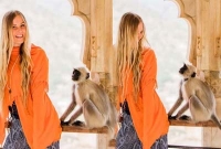 রূপসী মডেলকে দেখে হনুমানের চেঁচামেচি!