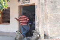 খাবারের দাবিতে খাদ্য দফতরে হনুমান দলের অবস্থান কর্মসূচি!