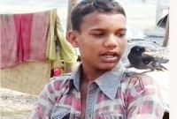 বাংলায় কথা বলে সুলতানের শালিকটি!