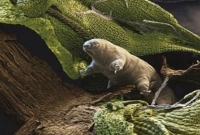 ৩০ বছর পর ঘুম ভাঙল!