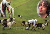 ছাগল হিসাবে ঘাস খেয়ে অভিনব জীবনযাপন