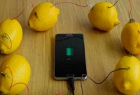 এবার লেবু দিয়েই হবে মোবাইলের চার্জ!