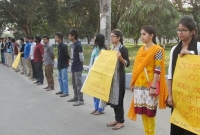 বাকৃবি শিক্ষার্থী ছুরিকাহত