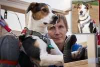 এবার বিমানের পাইলট হচ্ছে কুকুর!