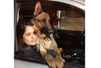 কুকুরের শোকে নাওয়া-খাওয়া ছেড়েছেন বিশ্বখ্যাত সেই অভিনেত্রী