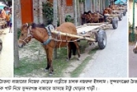 গাইবান্ধার চরাঞ্চলের পরিবহন টাট্টু ঘোড়ার গাড়ী