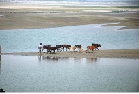  গাইবান্ধায় নৌ যোগাযোগ হুমকির মুখে